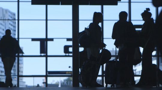 Meet The beast – documentary project