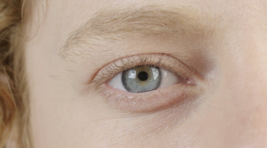 De Limburger – A world of difference